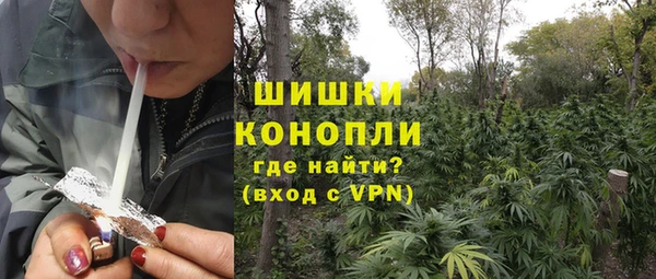 винт Лабытнанги