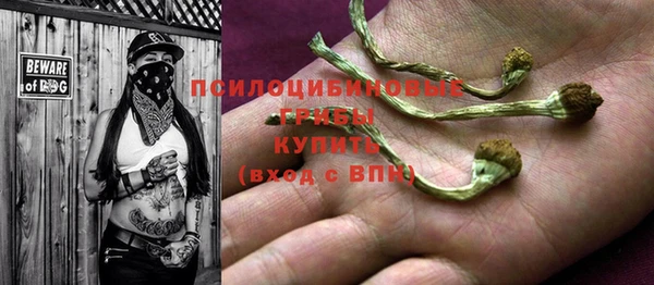 Альфа ПВП Ладушкин