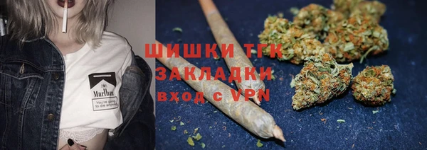 винт Лабытнанги