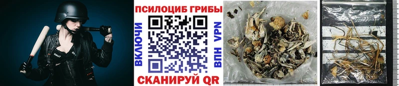Псилоцибиновые грибы ЛСД  Купить  Ленинск-Кузнецкий 